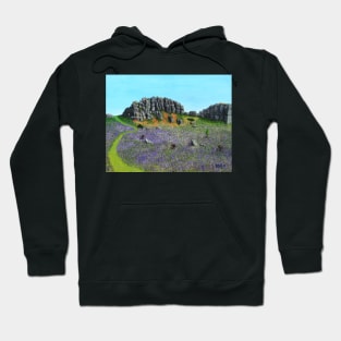 Dartmoor bluebells Hoodie